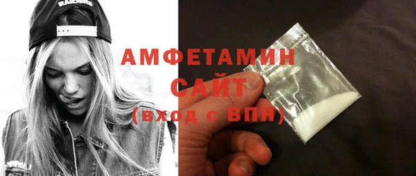 индика Медвежьегорск