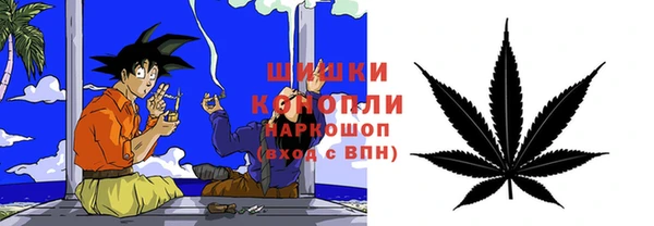 крисы Мегион