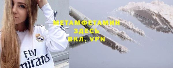 крисы Мегион