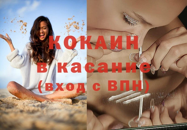 индика Медвежьегорск