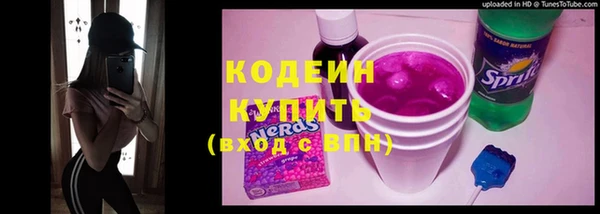 крисы Мегион