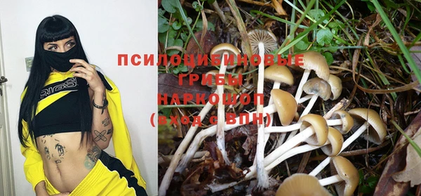 индика Медвежьегорск