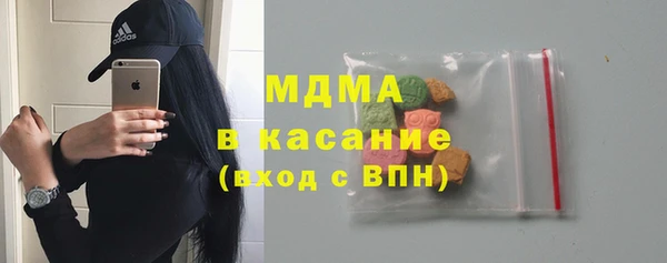 индика Медвежьегорск