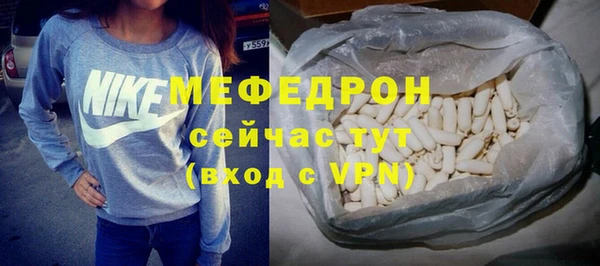 индика Медвежьегорск