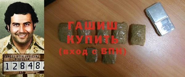 крисы Мегион