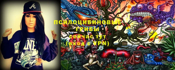 индика Медвежьегорск