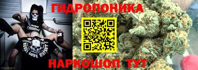 spice Гусь-Хрустальный