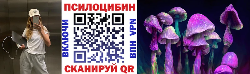 mega ТОР  Саров  Псилоцибиновые грибы Cubensis 