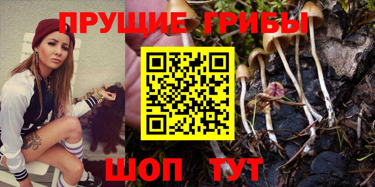 Галлюциногенные грибы Саров