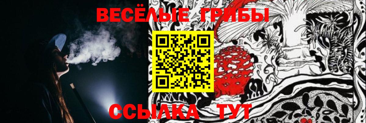 Псилоцибиновые грибы GOLDEN TEACHER Саров